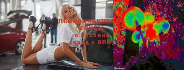 прущие крисы Арсеньев