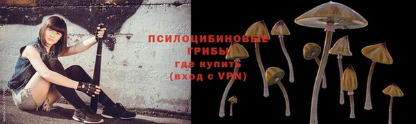 прущие крисы Арсеньев