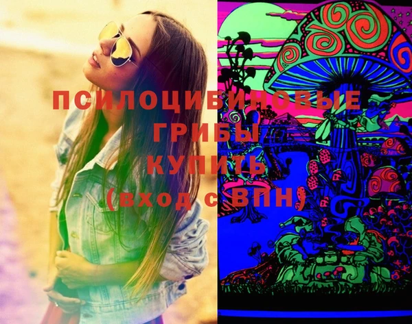 прущие крисы Арсеньев